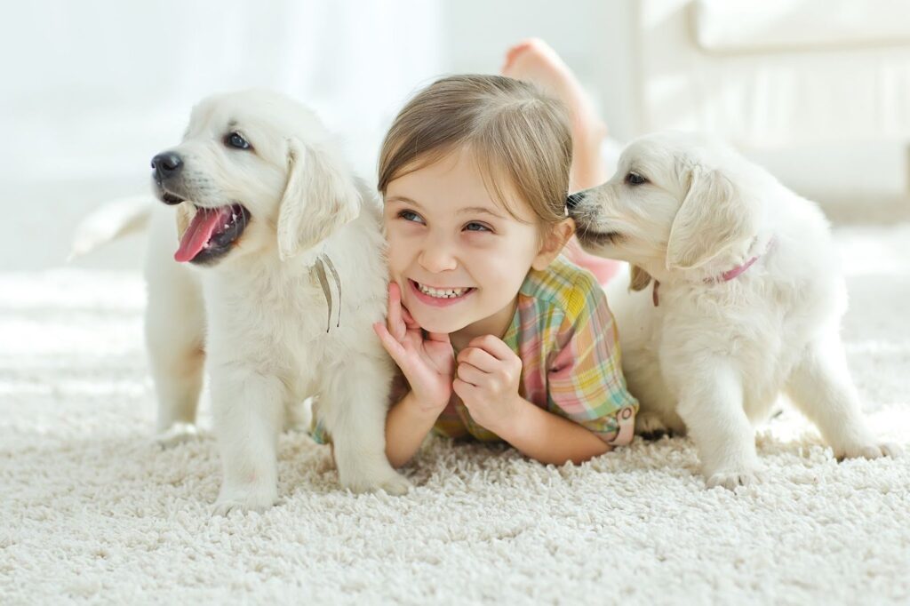 Kid and two dogs on a carpet.